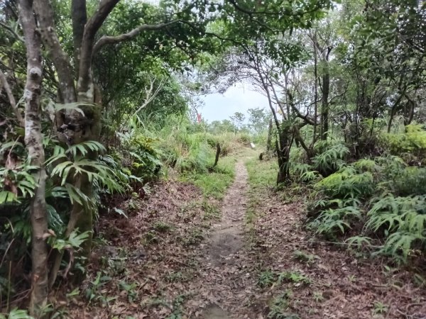 內湖區大丘田保甲路+開眼山+白石湖山+白石湖山東峰+大邱田山+消防山O型2858933