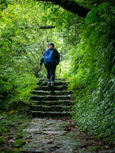 【行腳陽明山】初夏裡蒼翠欲滴的環七星山與百拉卡公路人車分道2188670