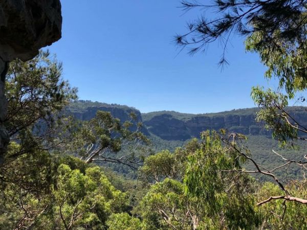 澳洲藍山國家公園～三姐妹岩304219