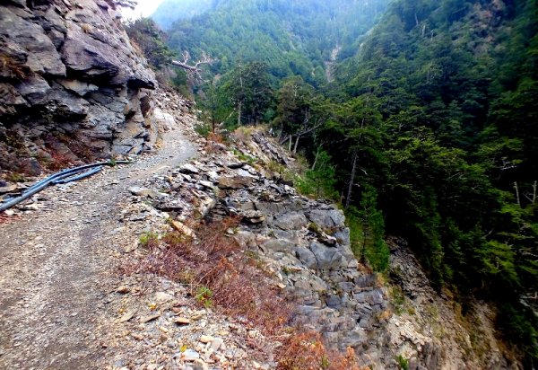 山風15度C吹拂 ~ 合歡溪 步道1551747