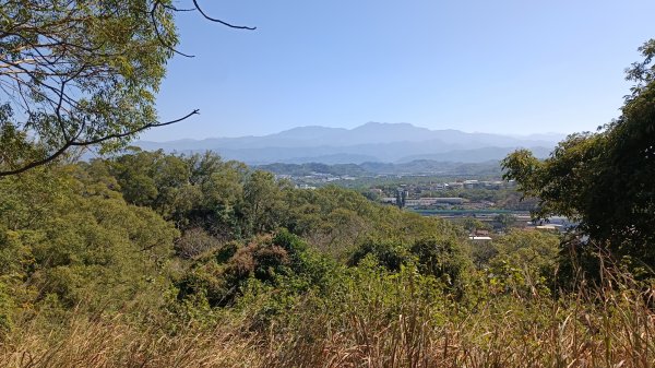 造橋口山&菜瓜窩山2014307