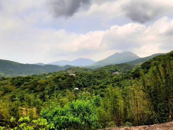 走遍陽明山：擎天崗系｜竹林小徑，遇見清幽潺潺溪流2096486