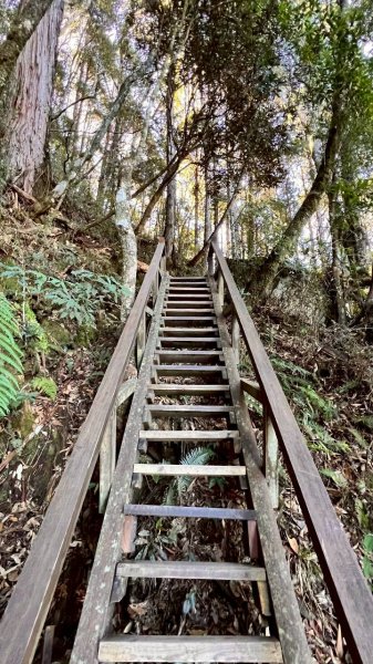 🌈11/15（六）松鶴上八仙山下森林遊樂區✨FB：熊熊趴爬走🌈2937663