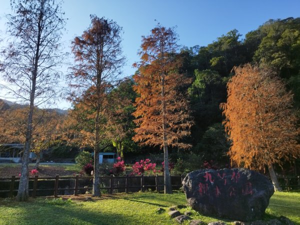 [新北坪林][五]仁里坂山(火炎山東北峰)、火炎山東峰、火炎山、南火炎山(火炎山南峰)、石硿子山(芋圓尖、芋園尖)、九芎根山西北、九芎根山
