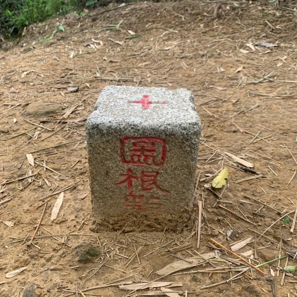 20240608高雄北旗尾南山-北旗尾山-旗尾山2523563