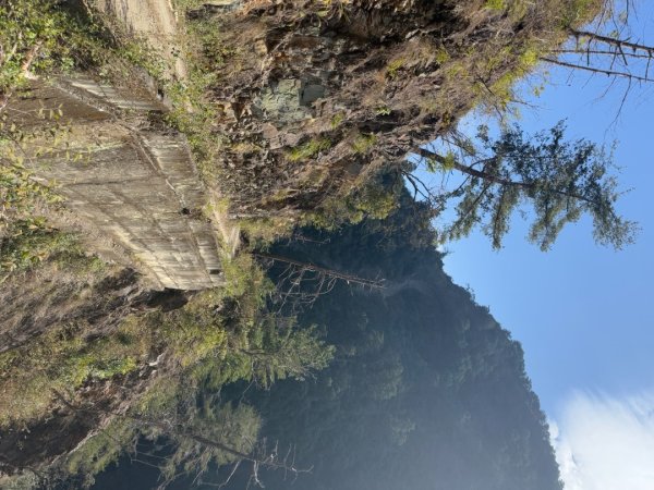 20250130 北港溪峽谷步道2702927