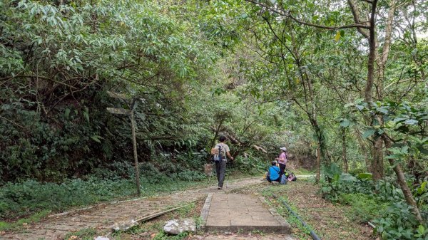 114.10.11石荀尖之旅2912042