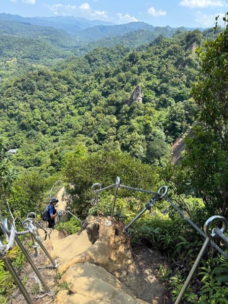 孝子山、普陀山、慈母峰賞鹿子野百合O走2592939