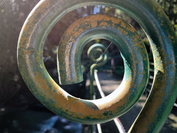 2024-08-22 澀水森林步道2578389