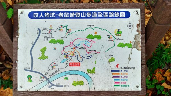 咬人狗坑～三汀山2020/02/16838441