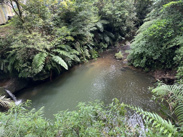 [微笑山線_第十二段] 2025_0803 五分山系_望古瀑布2851542