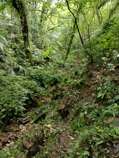 平溪區三功大厝+番子坑山+千階嶺步道O型2781122