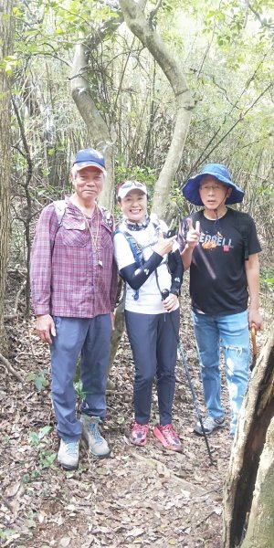 桃園蘆竹五酒桶山步道1328706