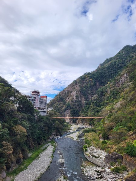 2025.11.30 谷關七雄 No.4 波津加山，不給休的蜂2952120