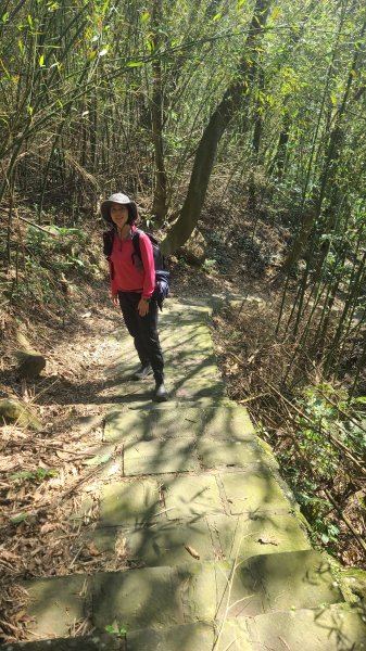 2025-0130溪和宮-大崎頭步道-鵝尾山-平溪步道-鵝尾山水田-42巷-溪山百年古圳-平菁步道2701851