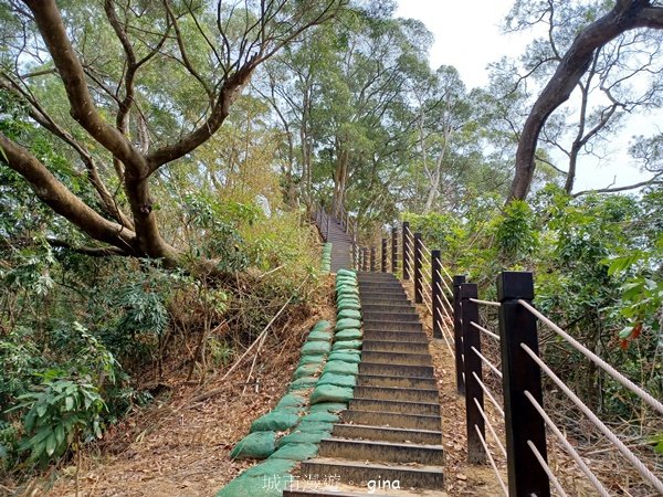 【台中豐原】平易近人。 豐原萬里長城登山步道x寮水山2517551