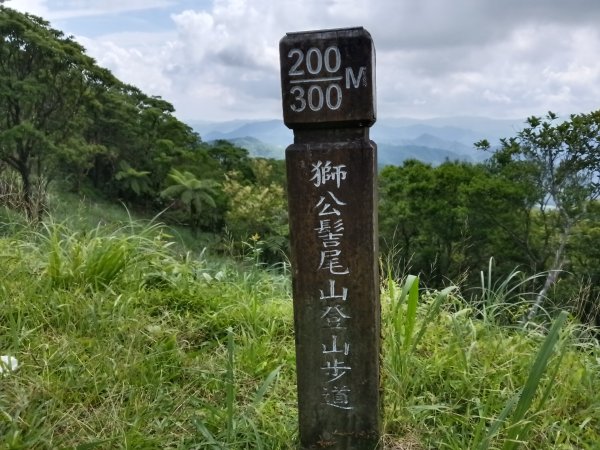 坪林區司公髻尾山+虎寮潭吊橋+粗石斛吊橋+大舌湖步道+漁光派出所2794289