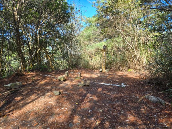 八仙山森林遊樂區、佳保台山2712670