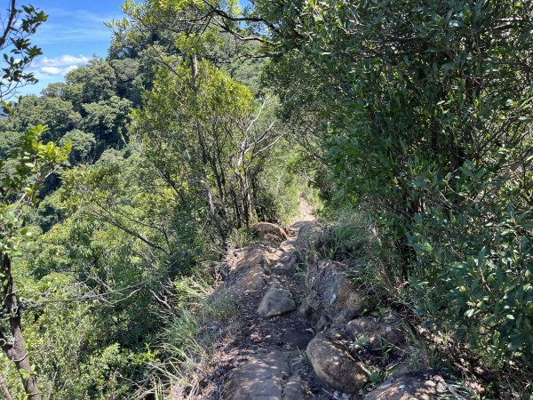 [微笑山線_第九段] 2025_0914 二格山系_天王峰2889626