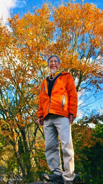 #花卉試驗中心 #永公路500巷 #平菁街42巷 #原住民公園 #士林官邸 1/42976569