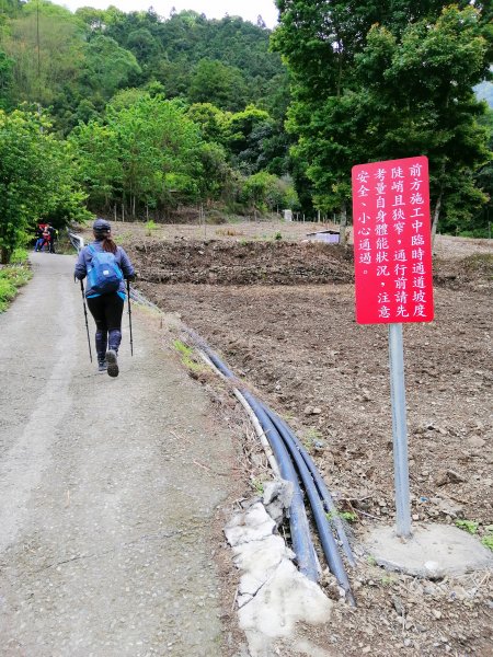 信義~悠然古道處處迷人八通關雲龍瀑布步道972824