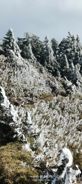 2024雪季攀登（玉山主峰/玉山西峰）2410966