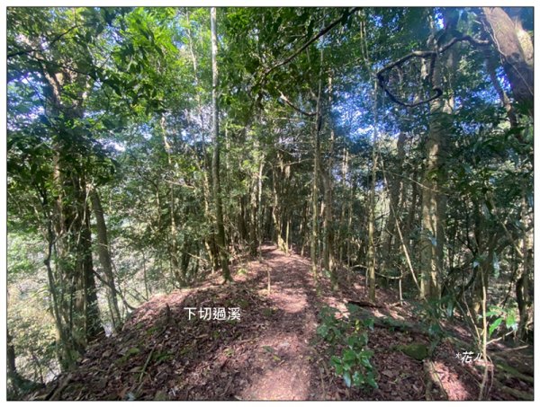 加里山前山隘勇線、騰龍山、橫龍山 連走3027651