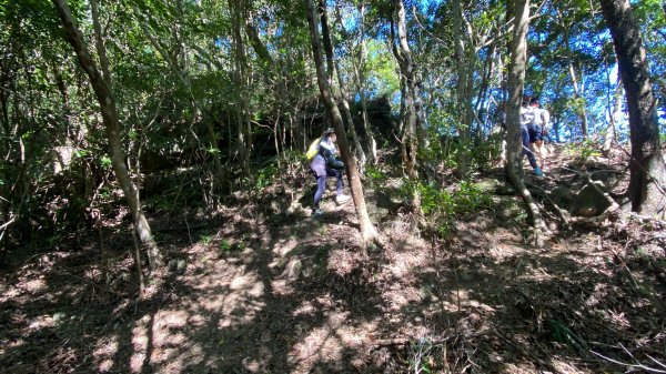 2025微笑山線大縱走尋寶集章任務-Ep.10【五分山系】菁桐煤礦段｜石筍尖 ×2914468