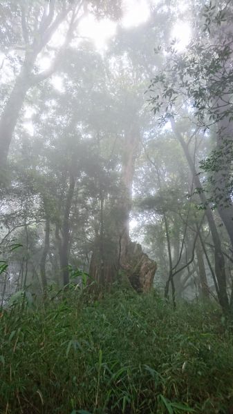 守城大山-2017/08/12177461