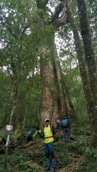 北插天山~赫威山105.12.06(二)77019