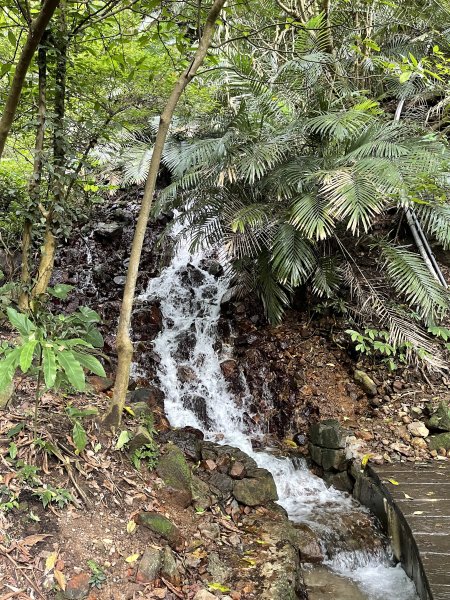 紗帽山半嶺水圳步道2650055