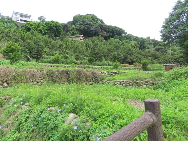 旱溪源頭自然生態區2878024