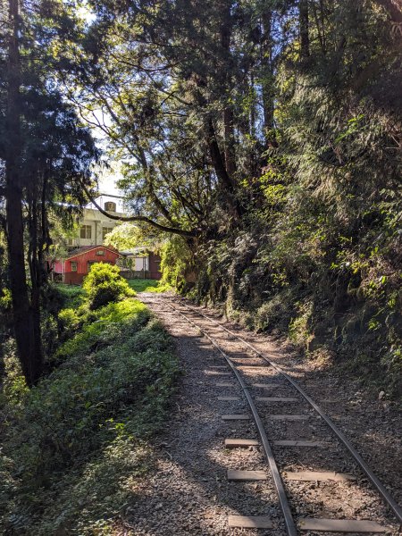 幾乎包場的兒玉山(自忠山)走東水山接特富野古道2548656
