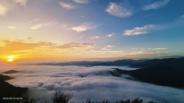 #翡翠水庫 #琉璃光 #日出 #雲海  #藍腹鷴 3/132734679