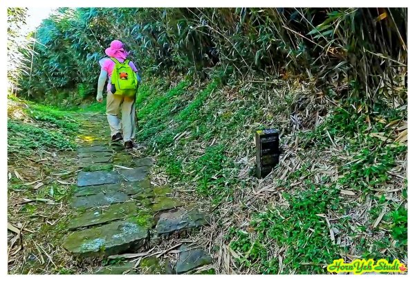 北環段七星山人車分道 七星瀑布 夢幻湖 下冷水坑泡腳趣2864587