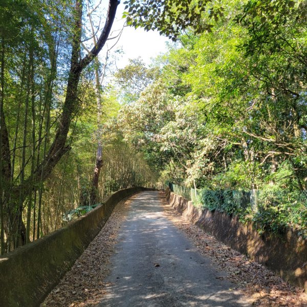 鳳凰谷步道1965949
