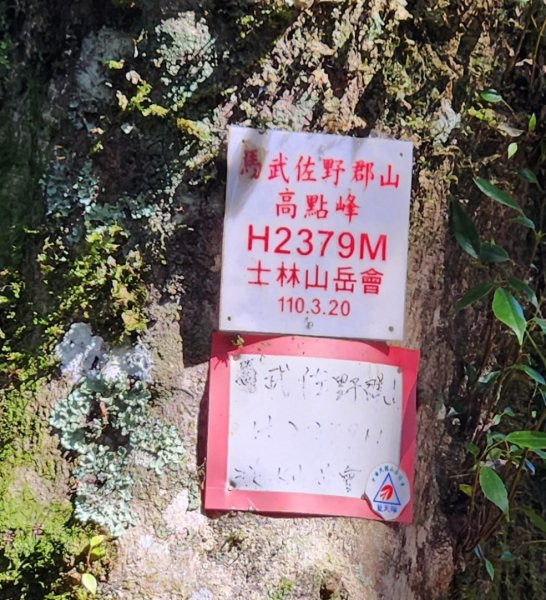 【中級山縱走】羅馬縱走，走進神木的夢幻童話森林世界2943226