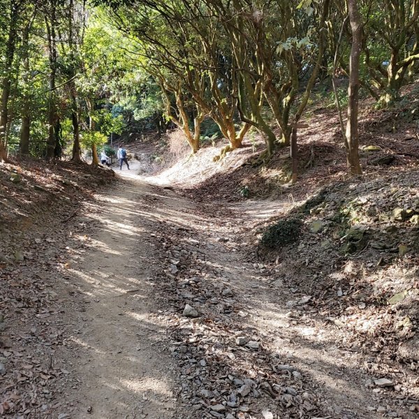 步道巡訪員│冬日尾寮山823581