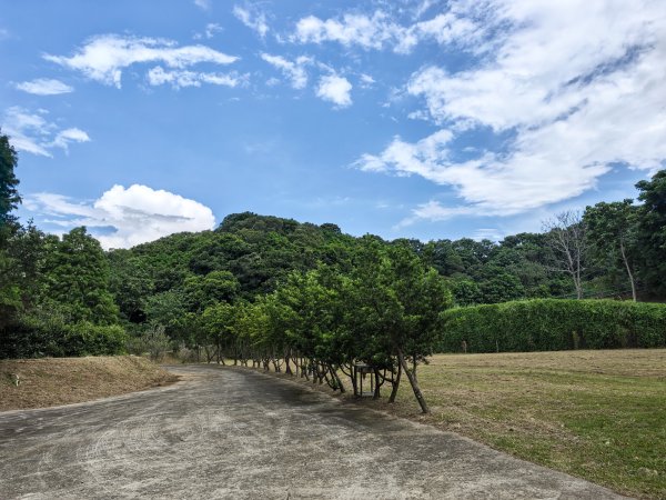 [皮皮獅動物派對-01/10] 2026_0815 寶山迴龍步道、環湖步道3112350
