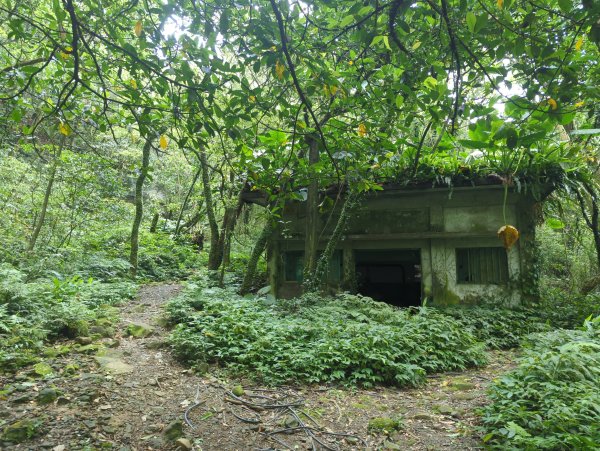 2025.05.03－燦光寮山O行縱走2782436