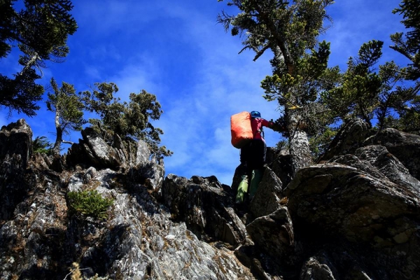 卓社大山 18連峰16233