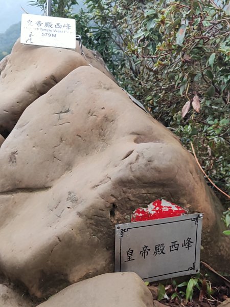 微笑山線：【二格山系】皇帝殿稜線段2955977