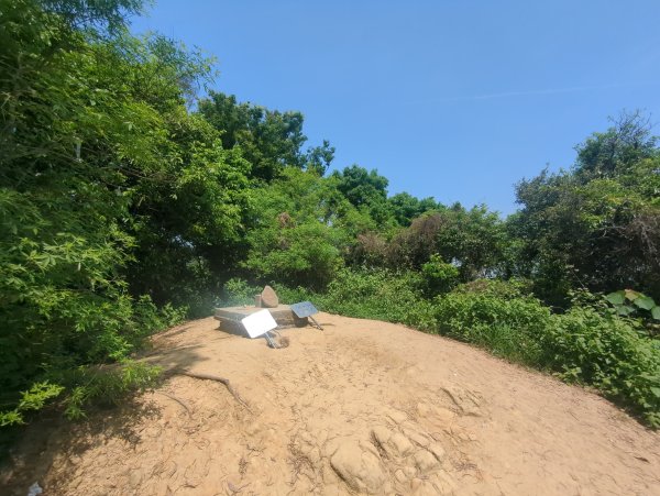 2026.05.02－聚興山步道3045916