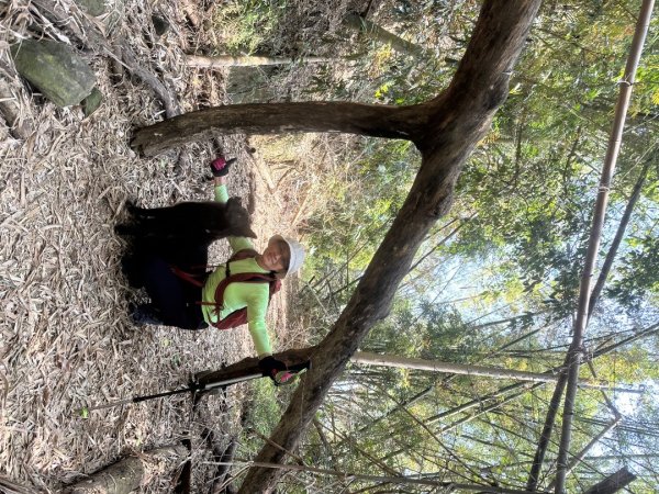 高雄美濃月光山2734919