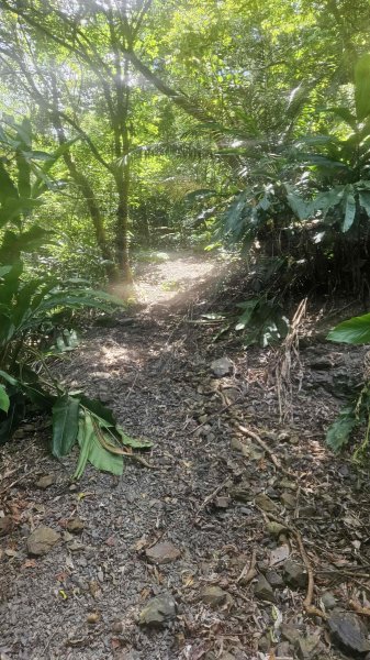 20250703象寮古道-梗枋古道2828905