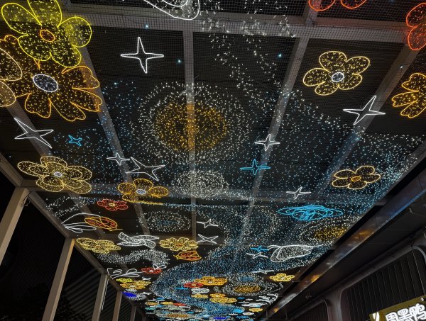 [茂名馬之行-14] 2026_0119 市民廣場2997070