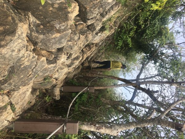 龍麟山步道（王爺崙2703654