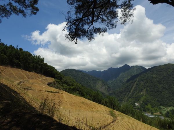 20180609望美山-瓊山(獵人古道)348739