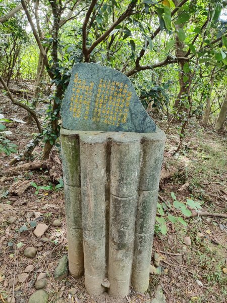 五酒桶山步道2644479