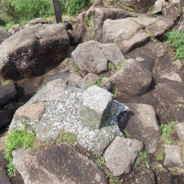 2025台北大縱走-小油坑到風櫃口-第三段完成!2755580